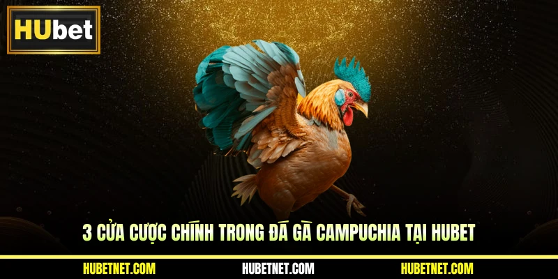 3 cửa cược chính trong đá gà Campuchia tại HUBET