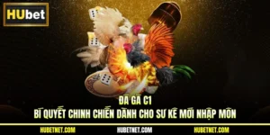 Đá gà C1 - Bí quyết chinh chiến dành cho sư kê mới nhập môn