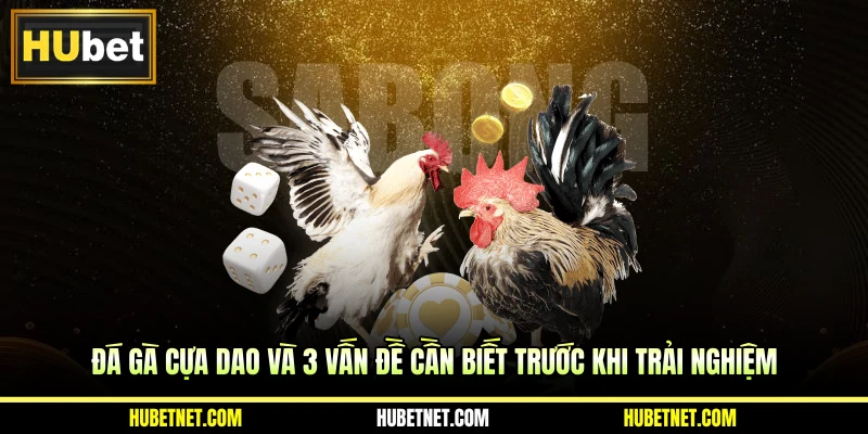 Đá gà cựa dao và 3 vấn đề cần biết trước khi trải nghiệm