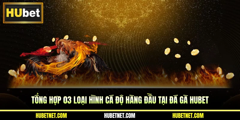 Tổng hợp 03 loại hình cá độ hàng đầu tại đá gà Hubet